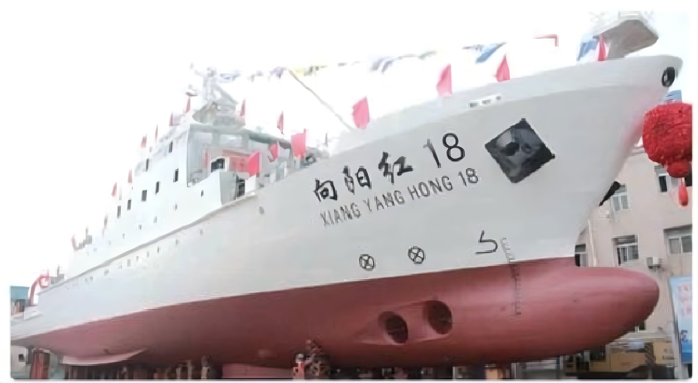 向阳红18.png